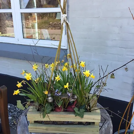 Nordby Kro Panzió Nordby