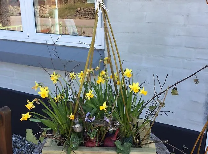 Nordby Kro Bed & Breakfast Nordby (Midtjylland)